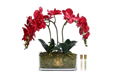 Oval Orchid Bouquet - Red - OOV14 (Carton of 1)